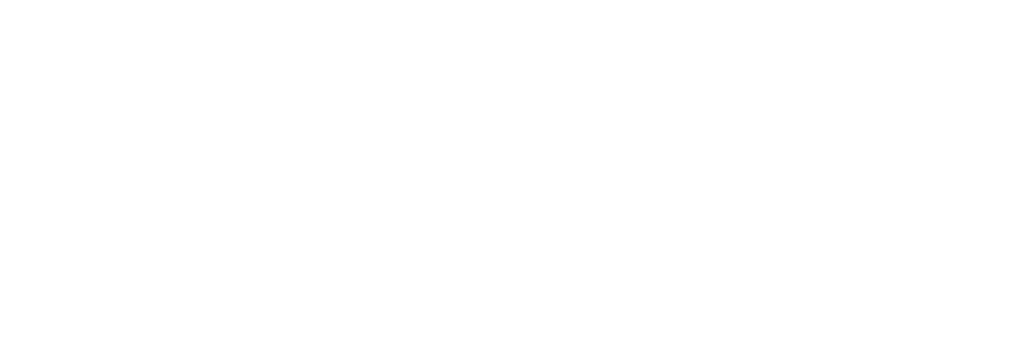 Fenix Communication